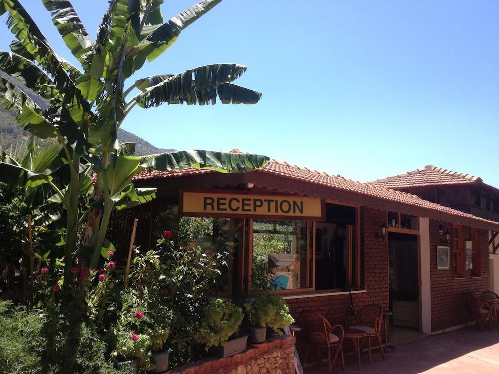 אולודניץ Aygul Hotel מראה חיצוני תמונה
