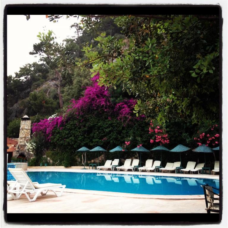 אולודניץ Aygul Hotel מראה חיצוני תמונה